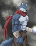  2023 anthro arm_wraps belt bergamo biped black_nose bottomwear brown_bottomwear brown_clothing brown_pants canid canine canis chibikoma clothed clothing countershade_face countershade_torso countershading digital_drawing_(artwork) digital_media_(artwork) dragon_ball dragon_ball_super fist fur grey_body grey_fur hi_res male mammal muscular muscular_anthro muscular_male pants portrait red_scarf scarf solo tail three-quarter_portrait topless topless_anthro topless_male wolf wraps yellow_sclera 
