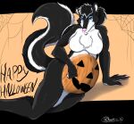  2019 anthro black_and_white_fur breasts brianna_jackson chest_tuft claws ear_piercing ear_ring featureless_breasts female fur halloween holidays jack-o&#039;-lantern looking_at_viewer lying mammal marcushunter markings mephitid mole_(marking) nude on_side painted_belly piercing pink_nose raised_tail ring_piercing signature skunk solo spider_web tail text tuft 