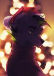  2017 anthro black_hair black_nose blurred_background bust_portrait canid cheek_tuft christmas christmas_clothing christmas_headwear clothed clothing dated facial_tuft fur glistening glistening_eyes green_eyes green_hair grey_body grey_fur hair hat headgear headwear hi_res holidays looking_down male mammal mouth_closed narrowed_eyes portrait pupils red_clothing red_hat red_headwear red_topwear santa_hat slit_pupils solo topwear tuft unknowhiter 