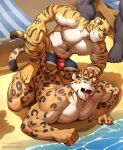  5_fingers 5_toes anthro anthro_on_anthro areola baiyushou beach biceps bulge claws countershade_face countershade_fur countershade_neck countershade_torso countershading duo_focus fangs feet felid fingers fur group hi_res inner_ear_fluff interspecies leopard leopard_spots male male/male mammal muscular muscular_anthro muscular_male nipples open_mouth pantherine pecs seaside smile spots striped_body striped_fur stripes tail teeth tiger toes tongue tongue_out trio tuft water 