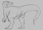 2018 anus baryonyx butt claws dinosaur female feral genitals looking_back monochrome nude pussy raised_tail rear_view reptile scalie simple_background solo spinosaurid standing tail theropod yaroul 