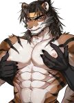  2023 5_fingers abs anthro anthro_focus black_arms black_body black_claws black_ears black_finger_claws black_fingers black_fur black_hair black_hands black_stripes blush bodily_fluids chest_grab chung0_0 claws duo felid finger_claws fingers fur hair hand_on_chest hi_res mammal multicolored_body multicolored_ears multicolored_fur nipple_fetish nipple_grab nipple_pinch nipple_play nipples open_mouth pantherine pec_grab pecs pinch solo_focus striped_body striped_fur stripes sweat sweatdrop teeth tiger tongue 