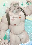  5_fingers absurd_res anthro areola barazoku bear blissade bulge claws fingers fish fur heterochromia hi_res kemono male mammal marine muscular muscular_anthro muscular_male nipples partially_submerged polar_bear scar solo ursine white_body white_fur 