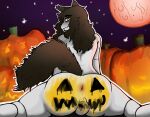  anthro anus balls bodypaint brown_hair butt fluffy_uzume food fruit fur genitals hair hi_res male painted_butt plant pumpkin pumpkin_butt pumpkin_patch solo uzu white_body white_fur 