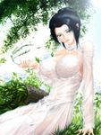  1girl big_breasts black_hair breasts dress female garter_belt grey_eyes large_breasts lowres nature outdoors outside panties s_zenith_lee see-through sitting sky solo underwear wedding_dress 