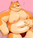  2023 anthro belly big_belly blush canid canine canis clothing domestic_dog eyes_closed humanoid_hands kemono male mammal meg_hoi moobs navel nipples overweight overweight_male solo underwear 