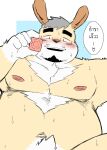  2023 anthro archery045 belly big_belly blush bodily_fluids condom dialogue hi_res humanoid_hands kemono lagomorph leporid male mammal moobs nipples rabbit sexual_barrier_device solo sweat text translation_request 