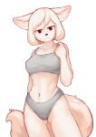  2023 absurd_res anthro bra breasts camel_toe canid canine clothed clothing color_fox digital_media_(artwork) female female_anthro fox fur hair hi_res kemono looking_at_viewer mammal midriff navel nipple_outline panties short_hair solo underwear underwear_only white_body white_fur white_hair 