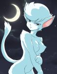  anthro bedroom_eyes breasts cloud felid feline female green_eyes hi_res human humanoid looking_at_viewer mammal misuzu moon narrowed_eyes night pose raised_tail seductive smile smiling_at_viewer solo star tail 