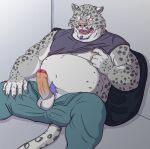  2023 anthro belly big_belly bottomwear clothing erection felid genitals hi_res humanoid_hands inotetu kemono male mammal moobs nipples overweight overweight_male pantherine pants penis pubes shirt sitting snow_leopard solo topwear underwear 