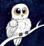  2019 avian beak bird invalid_tag night owl painting_(artwork) simple_background traditional_media_(artwork) watercolor_(artwork) white_body yellow_eyes 