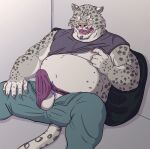  2023 anthro belly big_belly bottomwear bulge clothing felid hi_res humanoid_hands inotetu kemono male mammal moobs nipples overweight overweight_male pantherine pants shirt sitting snow_leopard solo topwear underwear 