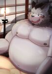  2023 anthro balls belly big_belly blush bodily_fluids candle canid canine canis detailed_background domestic_dog duo genitals human human_on_anthro interspecies inugamihito kemono male male/male mammal moobs navel nipples overweight overweight_male sex solo_focus sweat tamacolle yamato_(tamacolle) 