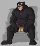  2023 anthro balls bear black_body cute_fangs erection genitals hi_res male mammal navel nipples password_(visual_novel) penis sitting slightly_chubby solo unsafescapewolf 