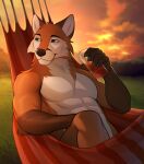  anthro athletic athletic_anthro athletic_male canid canine chilling fox hi_res male male_focus mammal muscular muscular_male portrait presenting s_gringo scott_(scottthefox94) solo sunset 