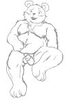  2023 anthro ashxxx_ad balls bear belly bepo blush flaccid genitals hi_res male mammal minkmen_(one_piece) moobs navel nipples one_piece penis polar_bear slightly_chubby solo ursine 