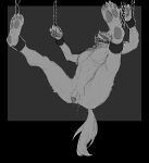  absurd_res balls bdsm bodily_fluids canid canine canis chain chained genitals hi_res male mammal nude penis sketch solo ssseeesss suspended_in_midair suspension wolf 