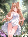  1girl absurdres ahoge animal_ears auroraescientia bangs bare_arms bare_shoulders blush brown_hair closed_mouth collarbone commentary crossed_bangs dress frilled_dress frills highres indie_virtual_youtuber lion_ears lion_girl lion_tail long_hair looking_at_viewer outdoors panties pantyshot rurudo_lion side-tie_panties sidelocks sleeveless sleeveless_dress solo strap_slip sundress symbol-only_commentary tail thigh_gap thighs tree twitter_username underwear virtual_youtuber white_dress white_panties yellow_eyes 