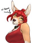  2023 absurd_res anthro breasts canid canine canis clothed clothing collar digital_media_(artwork) domestic_dog female fur hair heiko_(domasarts) hi_res looking_at_viewer mammal mischadot red_hair simple_background solo spiked_collar spikes white_background yellow_eyes 