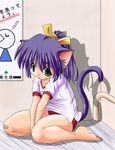  animal_ears bandaid bandaid_on_knee barefoot buruma cat_ears feet green_eyes gym_uniform original ponytail purple_hair sitting solo tail tonpuu 