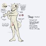  1:1 aardwolfz anthro balls canid canine canis circumcised domestic_dog english_text fur genitals hair hair_over_eyes hi_res male mammal model_sheet nonbinary_(lore) penis pink_penis pubes red_eyes shep_(aardwolfz) solo text white_body white_fur 