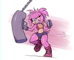 amy_rose anthro bigdad bodily_fluids breasts cleavage clothed clothing eulipotyphlan female footwear green_eyes hair hedgehog mammal pink_body pink_hair punch punching_bag sandbag sega shoes solo sonic_the_hedgehog_(series) sweat 