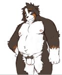  2023 anthro balls belly bernese_mountain_dog black_body black_nose brown_body canid canine canis domestic_dog flaccid genitals inuryu kemono male mammal molosser moobs mountain_dog navel nipples overweight overweight_male penis pubes simple_background solo swiss_mountain_dog white_background white_body 