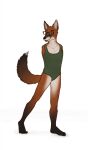  213sja ambiguous_gender amputee anthro armless canid canine clothing disability fox hi_res male mammal missing_arm swimwear 