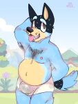  anthro armpit_hair bandit_heeler bluey_(series) bodily_fluids body_hair bulge hair male male/male musclegut musk nipples pubes skyl4378 solo sweat thick_thighs 