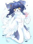  anthro avian bird black_body black_feathers black_hair black_nose blush bodily_fluids border_collie breasts canid canine canis cheek_tuft chest_tuft claws collie cotorita crying digital_media_(artwork) domestic_dog facial_tuft feathered_wings feathers featureless_breasts featureless_crotch feet female female_anthro floppy_ears fur hair herding_dog hi_res hybrid kneeling koto0v0haru looking_at_viewer mammal multicolored_body navel nude open_mouth pastoral_dog pawpads sheepdog simple_background solo tail talons tears tuft two_tone_body white_body white_feathers white_fur wings 