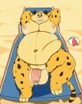  absurd_res anthro ball balls beach beach_ball belly benjamin_clawhauser big_belly big_penis bodily_fluids cheetah digital_media_(artwork) disney felid feline fur genitals hair hi_res huge_belly inflatable male mammal moobs nipples nude obese obese_anthro obese_male open_mouth outside overweight overweight_anthro overweight_male penis sand seaside smile solo sweat sweaty_balls sweaty_genitalia yo_zee zootopia 