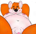  anthro belly big_belly canid canine fox gatoyo_iox genitals male male/male mammal overweight overweight_male pecs penis rufus_iox small_penis solo 
