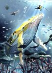  1boy air_bubble blurry blurry_background blurry_foreground bubble cape coral_reef denim fish hand_in_pocket holding holding_sword holding_weapon jeans manta_ray one_piece pants rojiko_(sshiomi) shirt smiley_face sunlight sword trafalgar_law turtle twitter_username underwater weapon whale white_headwear yellow_shirt 