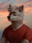  anthro artist_name black_eyebrows black_nose blue_eyes bust_portrait canid cheek_tuft clothed clothing cloud eyebrows eyelashes facial_tuft fur glistening glistening_eyes hair hi_res male mammal marie_merkh mouth_closed narrowed_eyes neck_tuft outside portrait red_clothing red_shirt red_t-shirt red_topwear shirt short_hair sky_background solo t-shirt topwear tuft white_body white_fur white_hair 