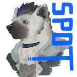  2023 absurd_res anthro arknights black_body black_fur black_hair black_nose blue_hair clothed clothing collar ear_piercing eyebrow_piercing facial_piercing fur grey_body grey_fur hair hi_res hyena hypergryph jacket looking_at_viewer male mammal multicolored_hair open_clothing piercing pluto08010511 shirt solo spot_(arknights) spotted_hyena studio_montagne t-shirt topwear tuft two_tone_hair 