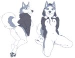  amelie_(lf) anthro blue_eyes breasts butt canid canine canis clothed clothing digitigrade domestic_dog female front_view fur genitals grey_body grey_fur hi_res hood hoodie husky kneeling lf looking_at_viewer looking_back looking_forward mammal neck_tuft nordic_sled_dog nude partially_clothed paws presenting presenting_breasts presenting_hindquarters presenting_pussy pussy raised_tail rear_view side_boob sitting sketch solo spitz spread_legs spreading tail topwear tuft white_body white_fur 