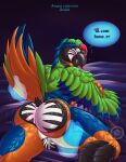  absurd_res angryrawcoon anthro avian azul_da_silva beak bird blush bubble_butt butt butt_grab colored dialogue disembodied_hand first_person_view fondling ghost_hands green_eyes hand_on_butt hi_res looking_at_viewer macaw male neotropical_parrot parrot portuguese_text raised_tail shaded solo tail talking_to_viewer text true_parrot winged_arms wings 