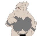  2023 anthro anthrofied arcanine barely_visible_genitalia barely_visible_penis belly blush censored generation_1_pokemon genitals hi_res kemono male navel nintendo overweight overweight_male penis pokemon pokemon_(species) solo 
