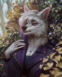  anthro artist_name black_eyebrows black_nose blurred_background bust_portrait canid cheek_tuft clothed clothing eyebrows eyelashes facial_tuft female fur glistening glistening_eyes hair hi_res jacket jewelry mammal marie_merkh multicolored_hair narrowed_eyes neck_tuft necklace outside plant portrait purple_clothing purple_eyes purple_hair purple_jacket purple_topwear short_hair shrub signature solo topwear tree tuft two_tone_hair white_body white_fur white_hair 