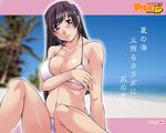  action_pizazz beach bikini breasts day hairband huge_breasts long_hair solo swimsuit wallpaper zen9 