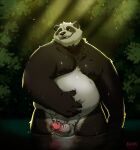  2021 absurd_res anthro backlighting bear belly big_belly biped casual_nudity crotch_tuft detailed_background dreamworks erection front_view fur genitals giant_panda glistening glistening_body green_eyes half-length_portrait hand_on_stomach hi_res kamudragon kung_fu_panda light light_beam lighting looking_aside male mammal master_po_ping moobs multicolored_body multicolored_fur nude outside partially_submerged penis plant portrait pose skinny_dipping solo standing sunbeam sunlight tuft water wet wet_body wet_fur 