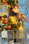  1girl apple autumn bangs blurry blurry_background branch brown_hair depth_of_field food fruit hat highres holding holding_food holding_fruit long_hair long_sleeves looking_up original outdoors pumpkin red_apple redum4 solo tree 