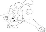  anonymous_artist anthro female genitals humanoid presenting presenting_pussy pussy solo temmie_(undertale) undertale undertale_(series) 