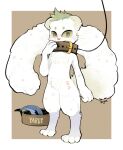  2020 absurd_res anthro blush blush_lines border brown_background bruised character_name cheek_tuft chest_tuft collar crotch_tuft facial_tuft felid feline fish floppy_ears fluffy fluffy_tail food front_view full-length_portrait fur green_hair green_sclera hair hi_res leash leg_markings long_tail looking_at_viewer male mammal marine markings nude oversized_collar pet_bowl pink_nose portrait simple_background socks_(marking) solo standing tail thick_thighs tuft whiskers white_body white_border white_fur yardy yrac 