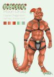  abs anthro bulge clothing dolxic(june) dragon dragonborn_(dnd) dungeons_and_dragons eggins feet garter_straps harness hasbro hi_res male muscular pecs scalie solo tail underwear wizards_of_the_coast 