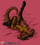  anthro bed_sheet bedding clothing crossgender dragon hi_res legwear lying on_back one_leg_up predaguy raised_leg scalie smokie_(janek5) stockings tongue tongue_out 