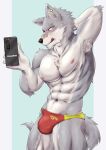 absurd_res anthro armpit_hair band-aid bandage blush body_hair bulge canid canine canis cellphone clothing countershade_face countershade_fur countershade_torso countershading fur grey_body grey_fur hi_res hiei0221 holding_cellphone holding_object holding_phone holding_smartphone inner_ear_fluff male mammal phone smartphone solo swimwear tail tongue tongue_out tuft wolf 