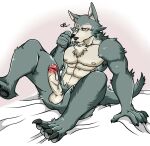  5_fingers alex168wang anthro balls beastars canid canine canis claws countershade_face countershade_fur countershade_torso countershading erection eye_scar facial_scar fingers fur genitals glans grey_body grey_fur humanoid_genitalia humanoid_penis inner_ear_fluff legoshi_(beastars) male mammal muscular muscular_anthro muscular_male penis scar solo tail tuft vein veiny_penis wolf 