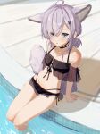  animal_ears arknights bikini black_bikini blue_eyes butterfly_hair_ornament extra_ears fox_ears fox_girl fox_tail grey_hair hair_ornament highres in_water looking_at_viewer nakatsuka123 off-shoulder_bikini off_shoulder official_alternate_costume pool poolside sitting sussurro_(arknights) sussurro_(summer_flowers)_(arknights) swimsuit tail 