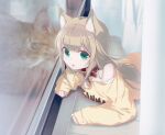  1girl 40hara animal_collar animal_ear_fluff animal_ears bangs blonde_hair blunt_bangs cat cat_ears cat_girl collar different_reflection green_eyes indoors kinako_(40hara) lying on_stomach original photo-referenced red_collar reflection sleeves_past_wrists 